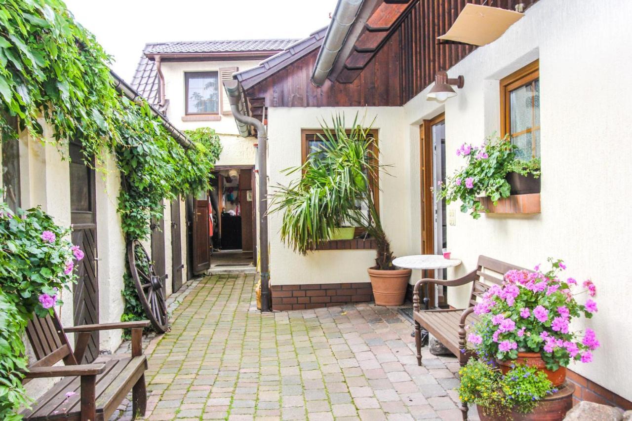 Likedeeler 3 Apartment Zingst Exterior photo